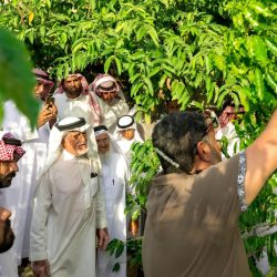مسرح القادسية بمواصفات سينمائية عالية