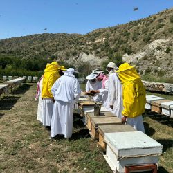 ناشئة الشارقة تختتم برنامج التبادل الثقافي الشبابي 