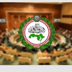 وزير الزراعة يقرر صرف مساعدات مالية عاجلة لأسر العمال الزراعيين ضحايا حادث البحيرة