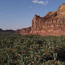 إطلاق مبادرة تدريب مليون سعودي في الذكاء الاصطناعي “سماي” في قمة “GAIN2024”