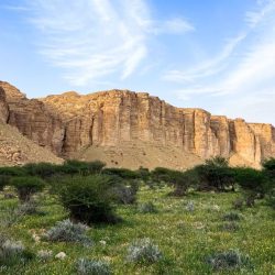 رئيس الهيئة العامة للإحصاء  يشارك في المنتدى الإقليمي للبيانات والتنمية المستدامة بمدينة الشارقة