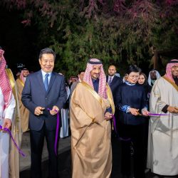 مع تبقي يومين على الحدث المنتظر قاعة “ميادين” تشهد إقامة المؤتمر الصحفي لنزال معركة العمالقة بمشاركة نجوم عالميين
