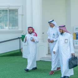عمرو     لاشين  :  المحافظة يوجد بها أفضل أنواع المحاجر على مستوى افريقيا