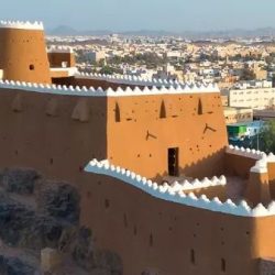 علاء ريحان يكشف أسرار العناية بالشعر في الشتاء: نصائح لا غنى عنها