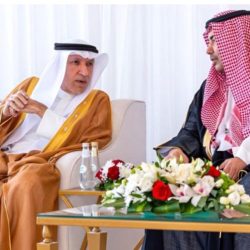 ابو الغيط يستقبل وفد مجلس الشيوخ الفرنسي