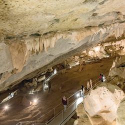 وزارة الشؤون الإسلامية تدشن الأدلة الفنية لبناء وتطوير المساجد الأولى عالمياً