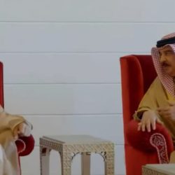 وزير الأوقاف ورئيس التنظيم والإدارة يبحثان موقف مسابقات شغل وظائف أئمة وعمال بالوزارة   