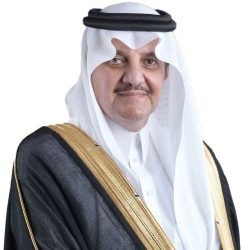 “ذا جروفز” وجهة ساحرة تجمع بين الطبيعة والإبداع 