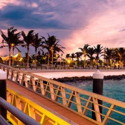 التدريب التقني بالباحة يحصد جائزة الباحة للإبداع والتميز في عدة فروع 