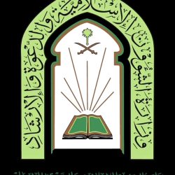 جامعة جدة تحتل المركز الثاني والأقوى مشاركة في مسابقة أذكى U