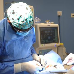 الشرقية تكتسي بأعلام الوطن احتفاء بيوم التأسيس