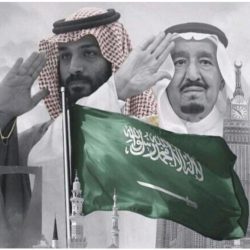 المملكة في عهد الملك سلمان.. نهضة تنموية وريادة عالمية*