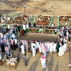 أمير منطقة تبوك يدشّن مشاركة منطقة تبوك في حملة ” جود المناطق 2 ” 