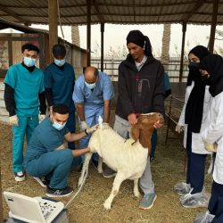 الخبر تقفز للمركز 61 عالميًا في مؤشر المدن الذكية لعام 2025