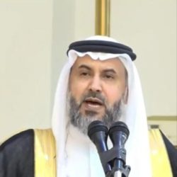 نحتاج نعمل أبديت..