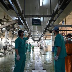 الأخضر يتجاوز الأردن في المناورة الودية استعدادًا لتصفيات كأس العالم