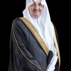 *شيخ الأزهر يغرد بالفارسية لأول مرة .. ويدين العدوان الصهيوني على إيران*