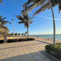 هنكل تطلق مجموعة شوارزكوف جليس للعناية بالشعر في أسواق الخليج بمشاركة نادين نسيب نجيم