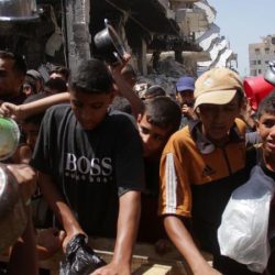 صيف الطائف.. خيارات وتجارب متنوعة بين الطبيعة والمغامرة والترفيه صيف الطائف.. خيارات وتجارب متنوعة بين الطبيعة والمغامرة والترفيه