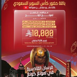 هيئة الرقابة ومكافحة الفساد تباشر عددًا من القضايا الجنائية