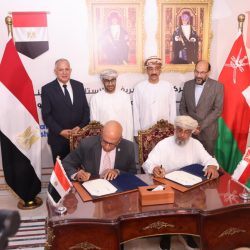 مجلس الشباب المصري ينظم ورشة عمل وطنية لتعزيز الحق في المشاركة في الشأن العام