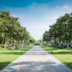 تحت شعار يوم العمل الإنساني القادسية يطلق حملة بالتعاون مع جمعية ارتقاء