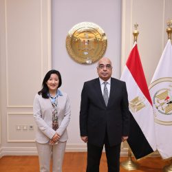 وزير العمل     *حملات تفتيش في جميع المحافظات تُسفر عن تحرير 193 محضر تراخيص عمل أجانب في يوم واحد بغرامات تتراوح بين 20 إلى 100 ألف جنيه لكل محضر  