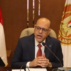 مجلس الشباب المصري ينظم ورشة عمل بعنوان “مصر وجسور التعاون والتكامل الأفري