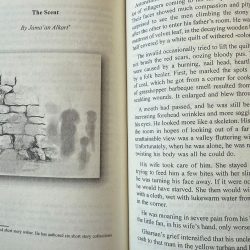 باكستان تنفذ ضربات دقيقة ضد معاقل جماعة “خوارج جُل بهادر” الإرهابية على الحدود الأفغانية