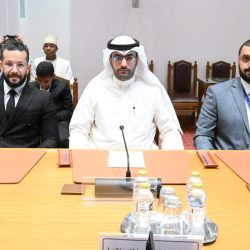 سفير الإمارات يقدم أوراق اعتماده إلى الرئيس المصري سفير الإمارات يقدم أوراق اعتماده إلى الرئيس المصري