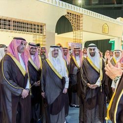 المنظمة العربية لحقوق الإنسان تطلق مهمة المتابعة الدولية للمرحلة الثانية من انتخابات مجلس النواب المصري