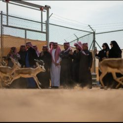 جمعية العوامية الخيرية تعلن إنجاز 96٪ من مرحلة العظم لمشروع المبنى الإداري بكفاءة مالية وتنفيذية عالية