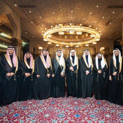 سعوديتي العظمى