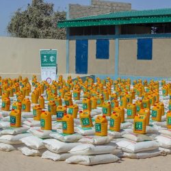 اختتام أعمال اجتماعات لجان البرلمان العربي برئاسة “اليماحي