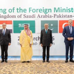 وزير الخارجية يشارك في أعمال الدورة العادية الـ ١٦٥ لمجلس جامعة الدول العربية على المستوى الوزاري