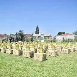 مركز الملك سلمان للإغاثة يوزّع 450 سلة غذائية في منطقة بوتفونتين بجمهورية جنوب أفريقيا