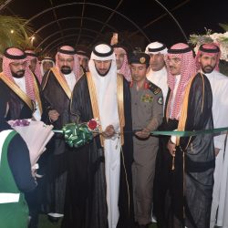 بوابة التمويل.. طريق المنشآت الصغيرة والمتوسطة نحو التوسّع والنمو