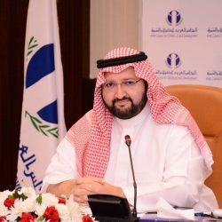 فرسان عماد الدين
