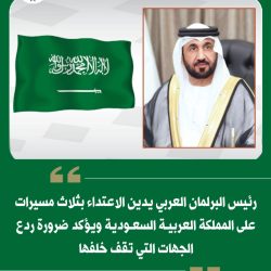 أبو الغيط يدين الإعتداء على السعودية بمسيرات