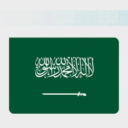 ضيوف الرحمن يتوافدون إلى المسجد النبوي بعد إتمامهم مناسك حج هذا العام