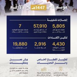 القاهرة تستضيف بطولة الجمهورية المفتوحة للملاكمة العربية في 26 يونيو الجاري