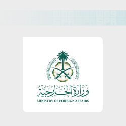 ضربة قاتلة للأفيال.. ديالو يقود ساحل العاج لإسقاط الإكوادور في افتتاح مباريات المجموعة الخامسة