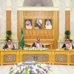 صقور الوطن