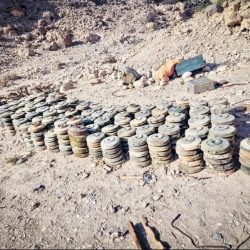 مدير عام الهيئة العامة للقوى العاملة بدوله الكويت المؤتمر      منصة مهمة لتبادل الخبرات وتعزيز التعاون في قضايا العمل والتشغيل وتنمية الموارد البشرية.