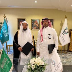 فهمي يبحث مع الزياني أمن الملاحة في الخليج وتنسيق المواقف العربية بالأمم المتحدة