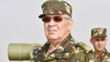 قائد الجيش الجزائري: سنطهر البلاد بالكامل من الفاسدين
