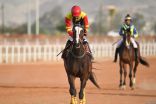 ميدان فروسية العقيق بالباحة يشهد غداً الخميس انطلاق المحفل الثالث لسباقات الخيل بمشاركة 55 جواداً