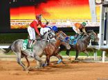 نادي سباقات الخيل يكشف عن الأسماء المبدئية المشاركة في كأس الوفاء