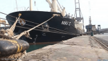ميليشيات الحوثي تحتجز 19 سفينة نفطية في البحر الأحمر