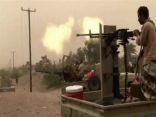 الجيش اليمني يسيطر على عدد من المناطق بمحافظة الحديدة